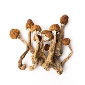 Köp Psilocybin