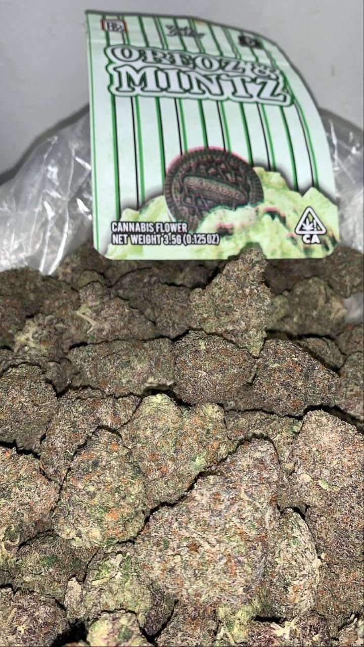 store_01JCBBZHTJW304D5JZ8Y01YCB7_assets_1731681698288-WhatsAppImage2024-09-30at16.28.37_3eca14cb Köpa THC Weed